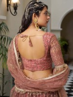 Rust Pink Butterfly Net Lehenga Choli